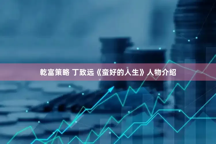 乾富策略 丁致远《蛮好的人生》人物介绍