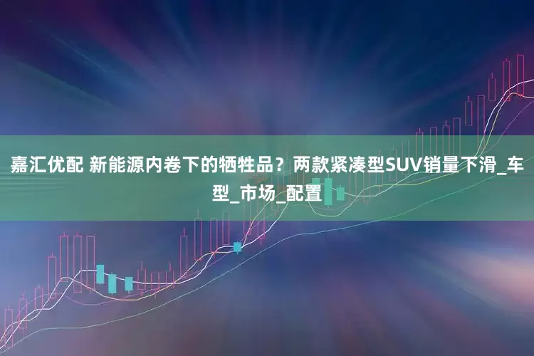 嘉汇优配 新能源内卷下的牺牲品？两款紧凑型SUV销量下滑_车型_市场_配置