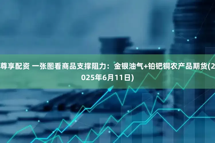 尊享配资 一张图看商品支撑阻力：金银油气+铂钯铜农产品期货(2025年6月11日)